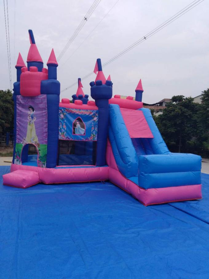 スライドが付いている1軒のコンボの跳ね上がりの家/膨脹可能な跳躍の城のピンクおよび青3